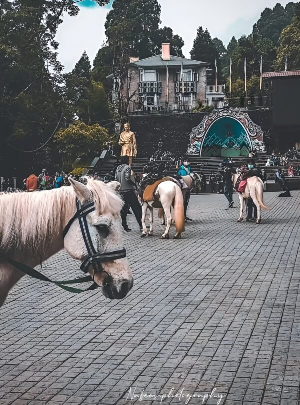 Darjeeling Mall Road