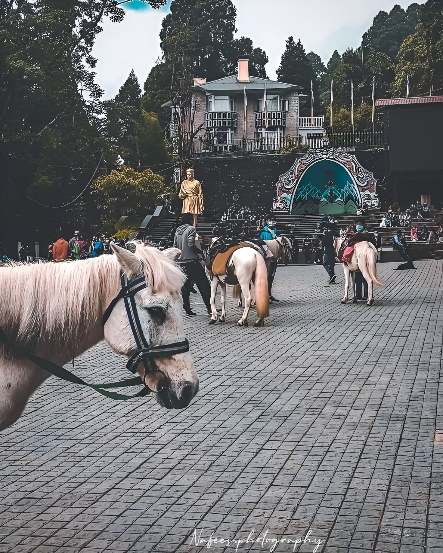 Darjeeling Mall Road