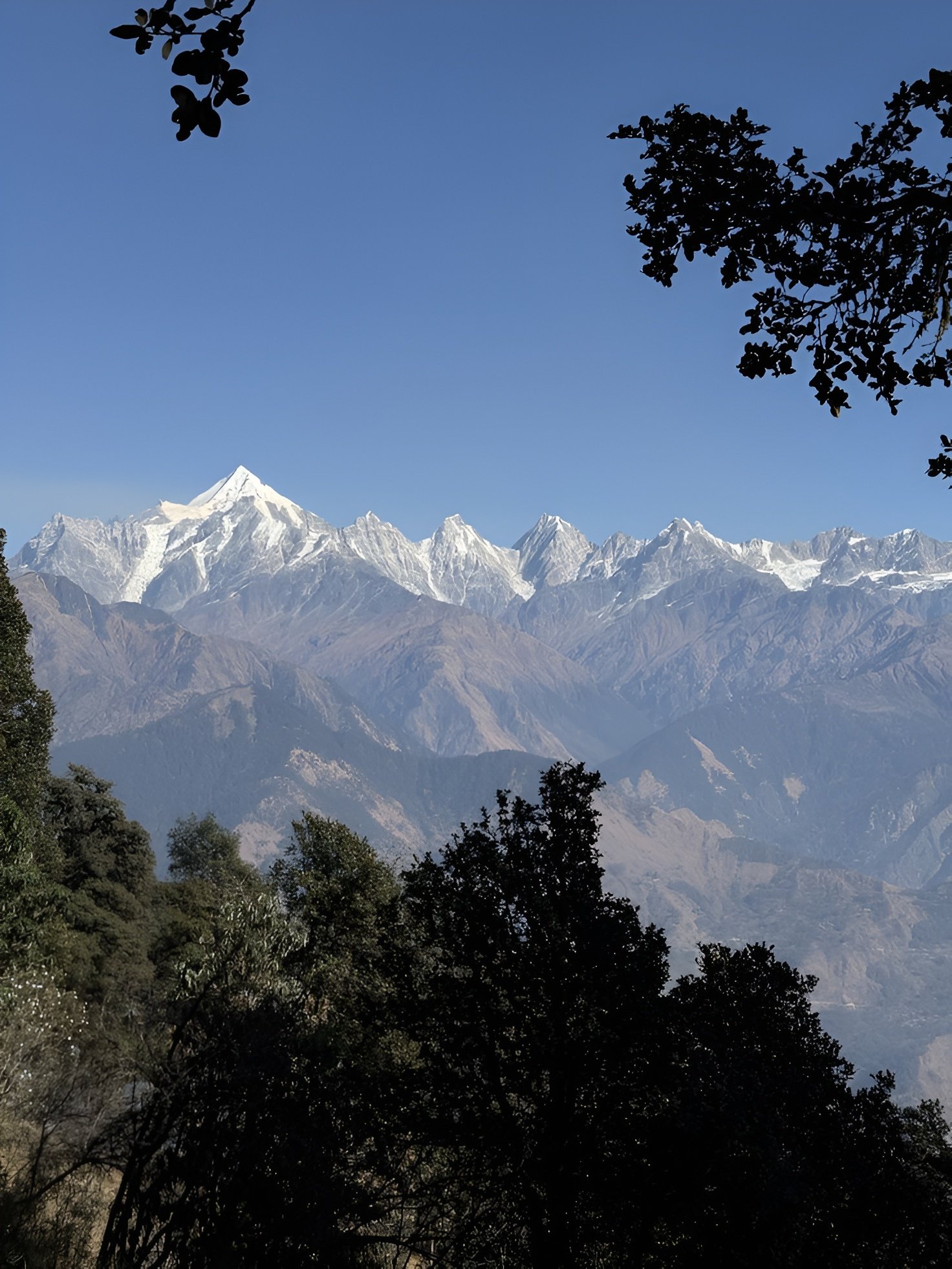 Kanchenjunga Darjeeling