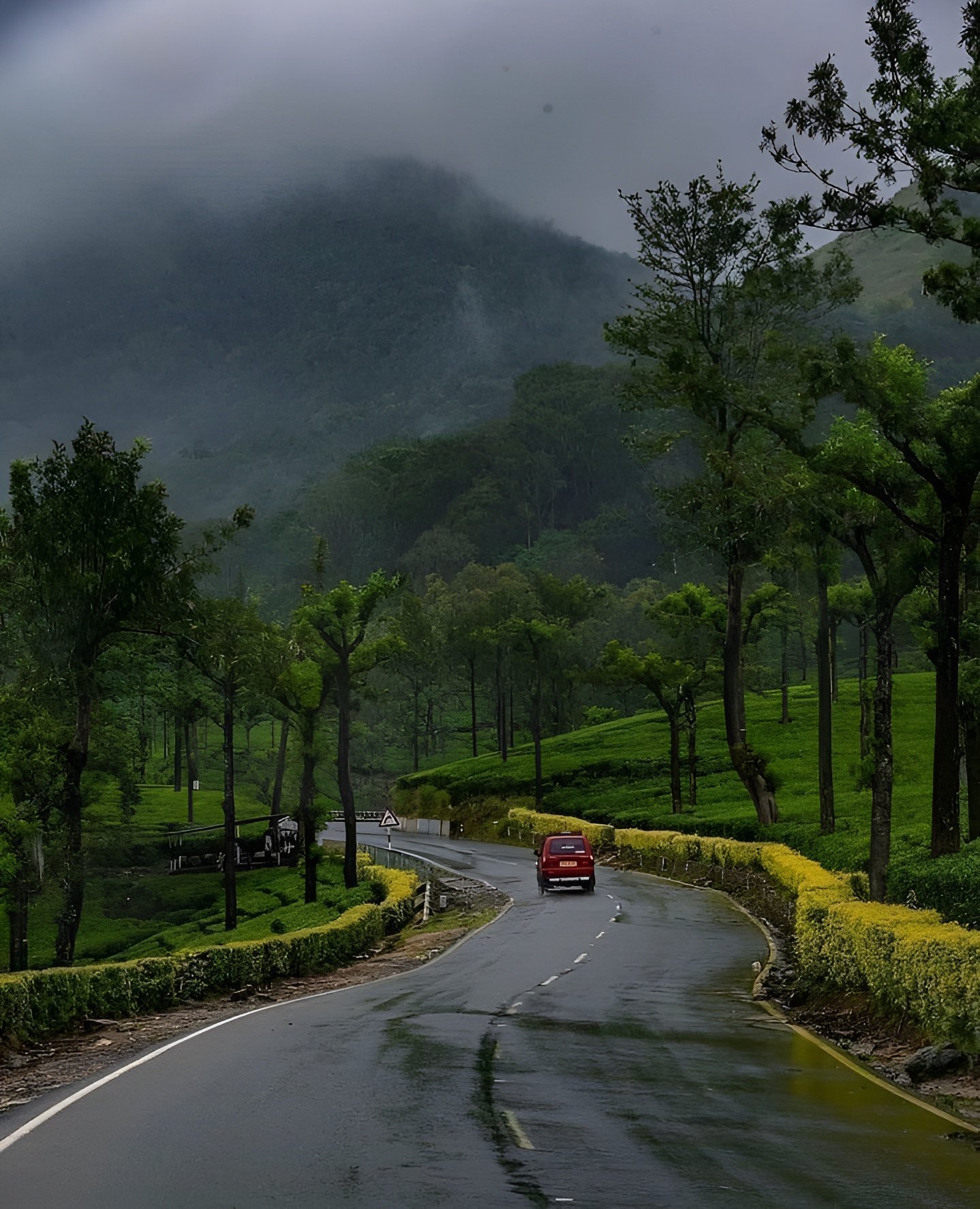 Siliguri-To-Kurseong