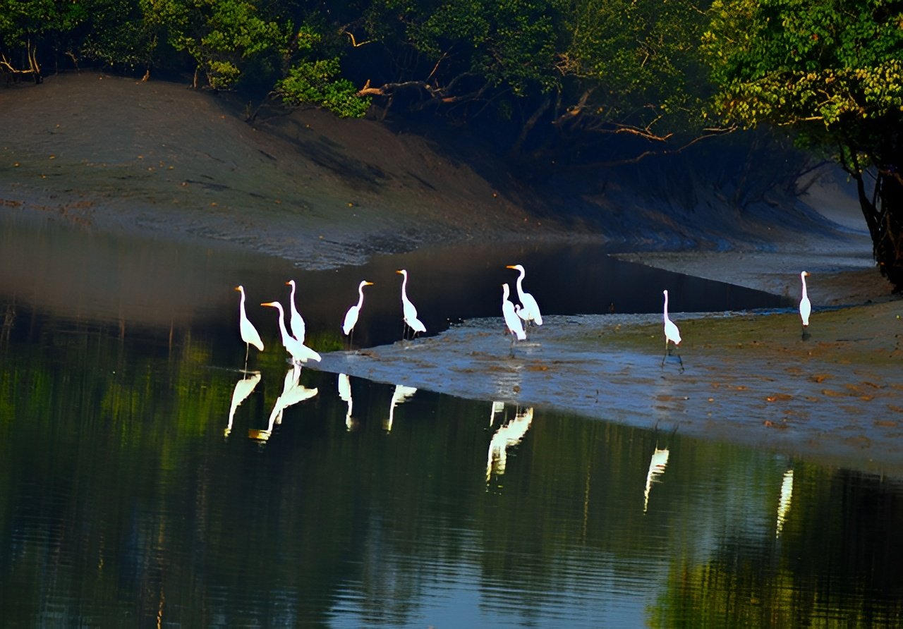 Sundarban National Park, Calcutta, West Bengal, India