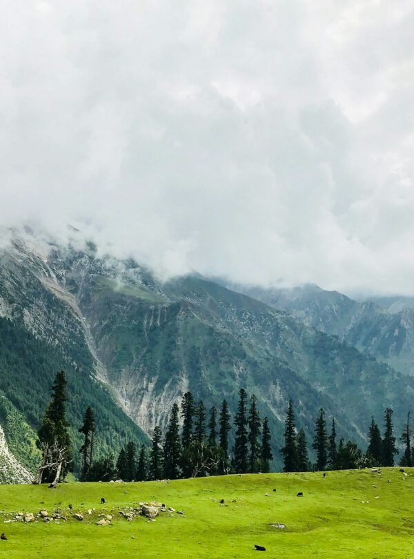 Kashmir Women-Only Group Tour 5 Nights 6 Days