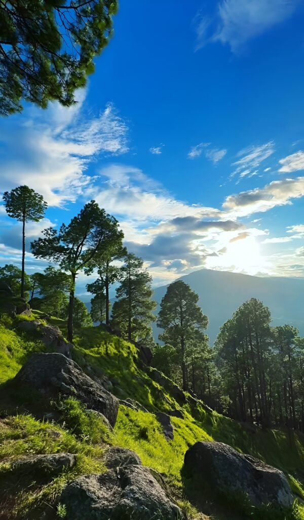 Sittong images