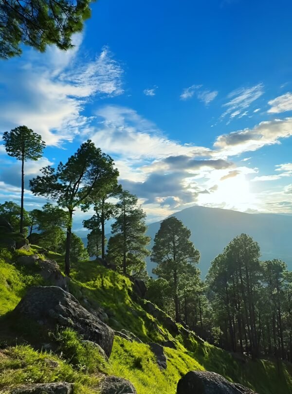 Sittong images