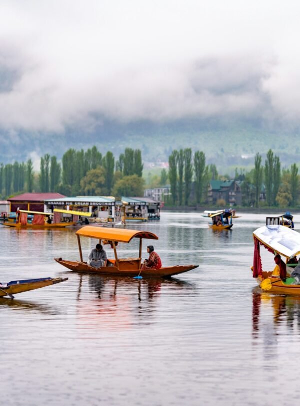 Kashmir Women-Only Group Tour 5 Nights 6 Days