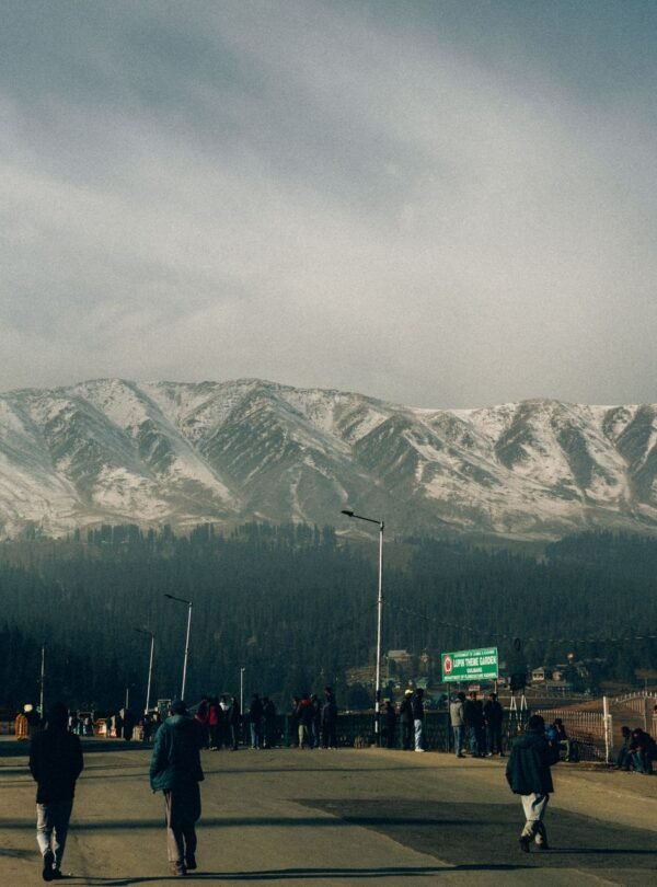 Kashmir Women-Only Group Tour 5 Nights 6 Days