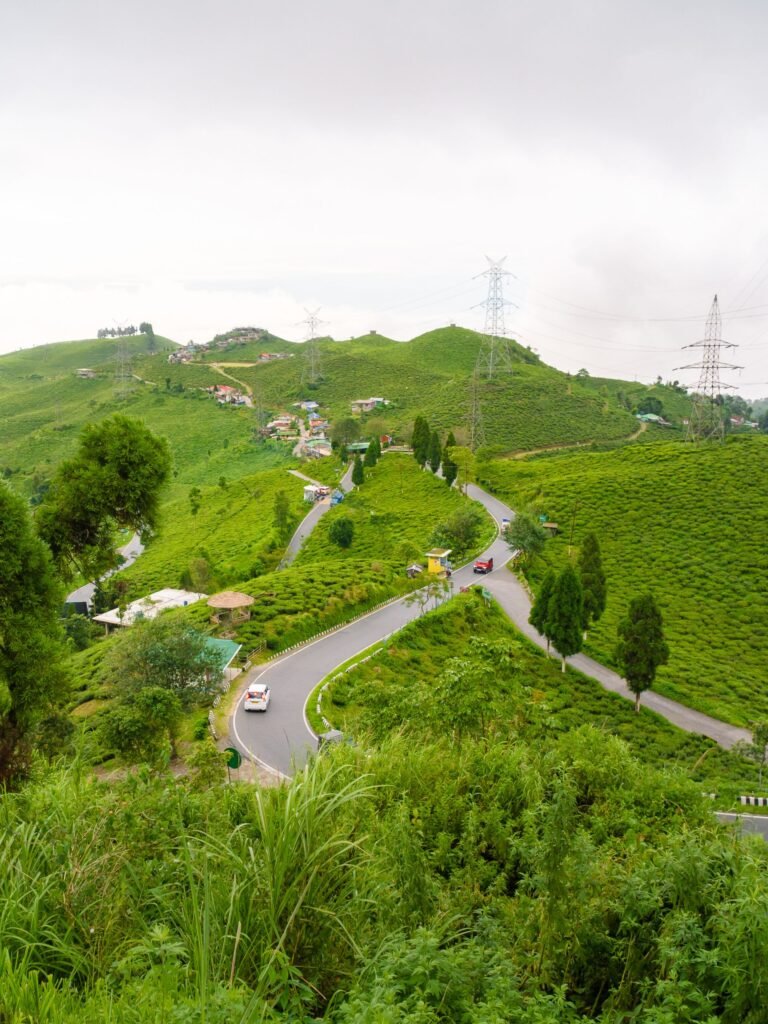 Darjeeling Kalimpong tour 3 Nights 4 Days