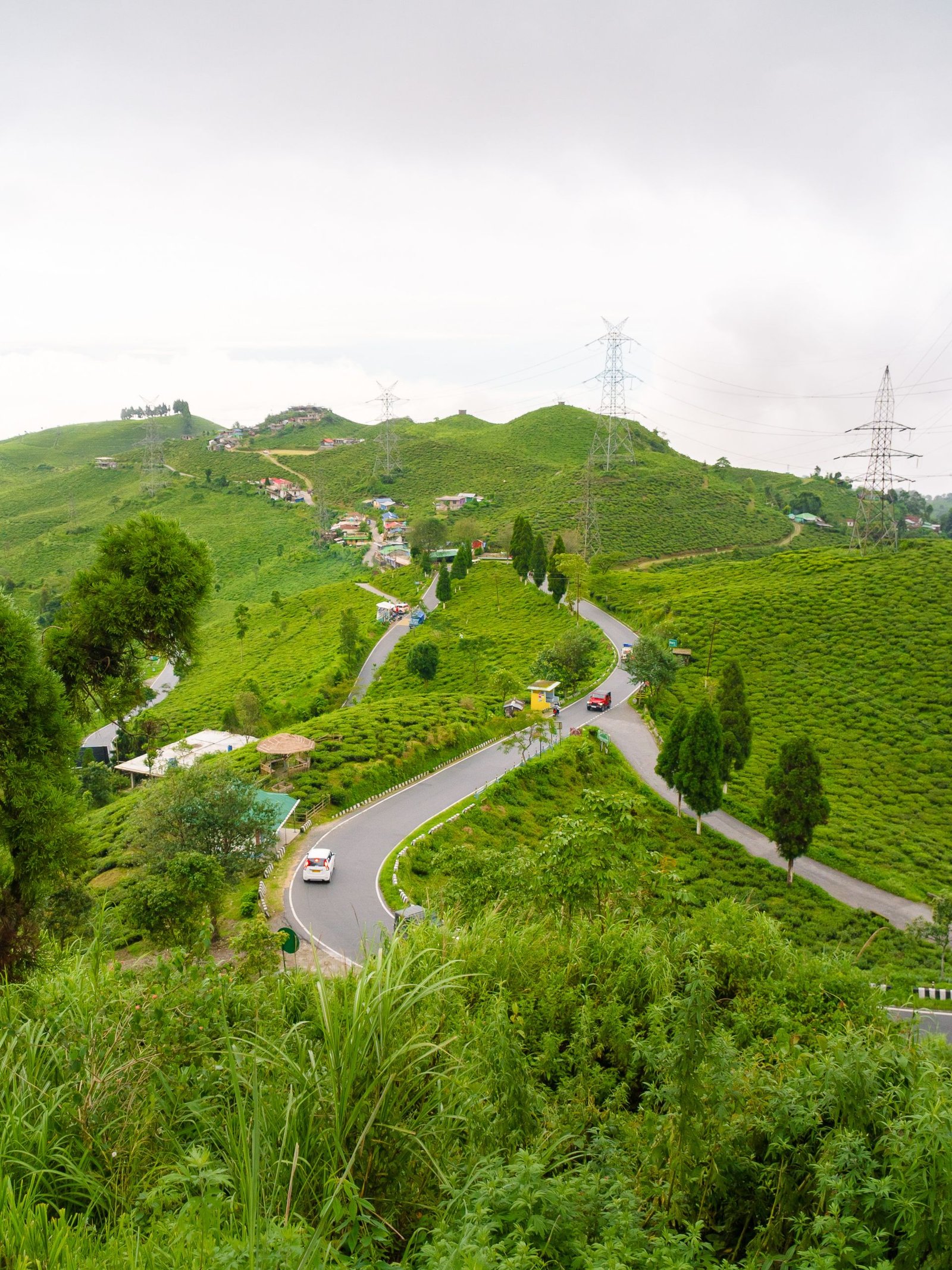 Darjeeling Kalimpong tour 3 Nights 4 Days