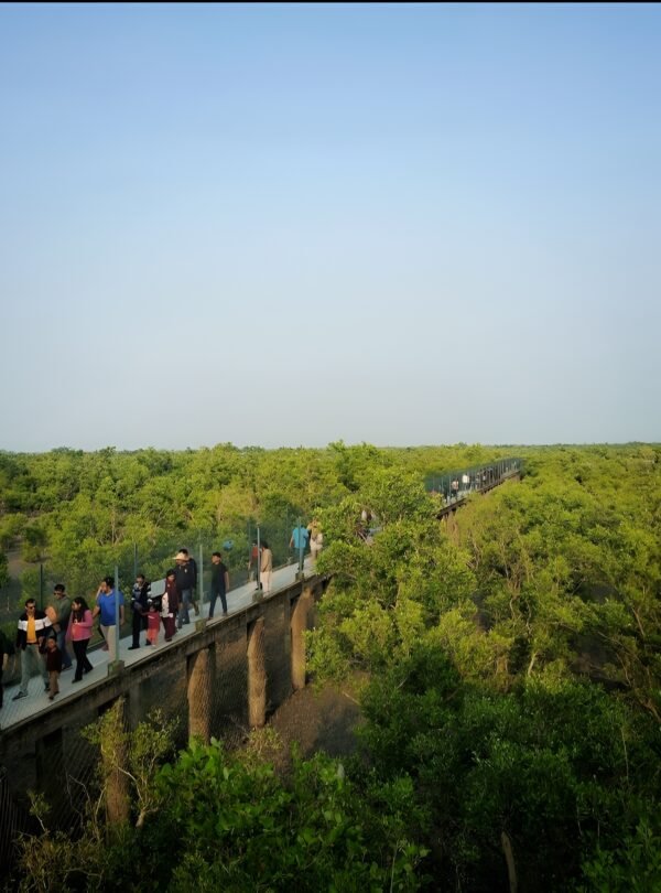 Sundarban National Park, Calcutta, West Bengal, India