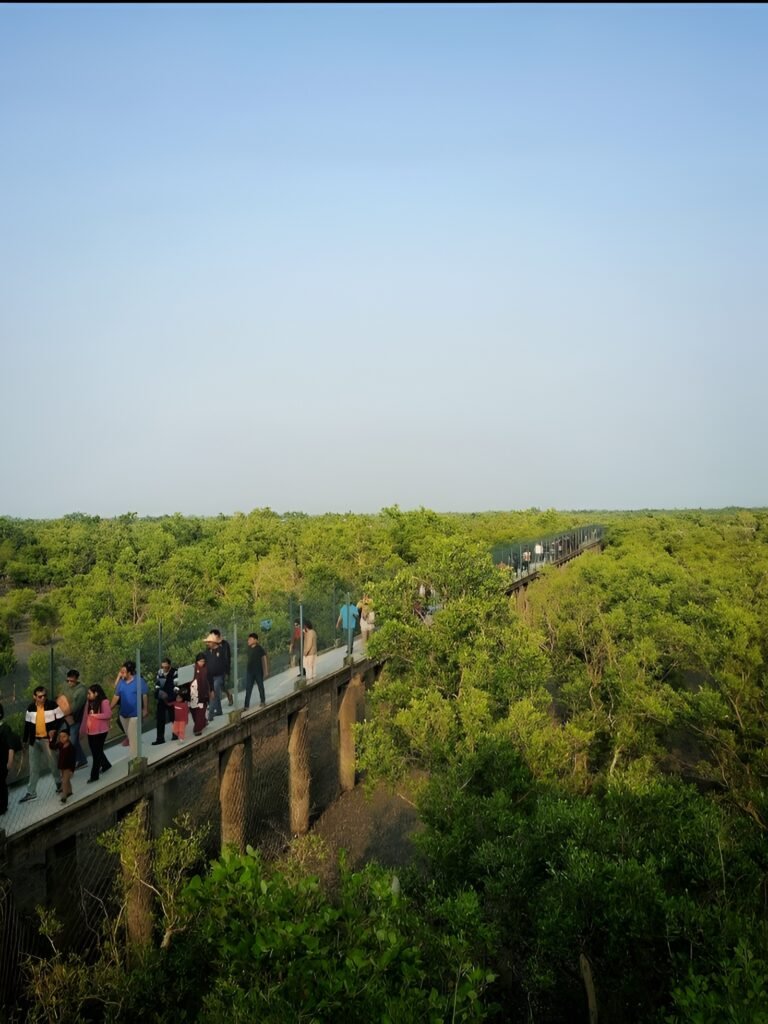 Sundarban National Park, Calcutta, West Bengal, India