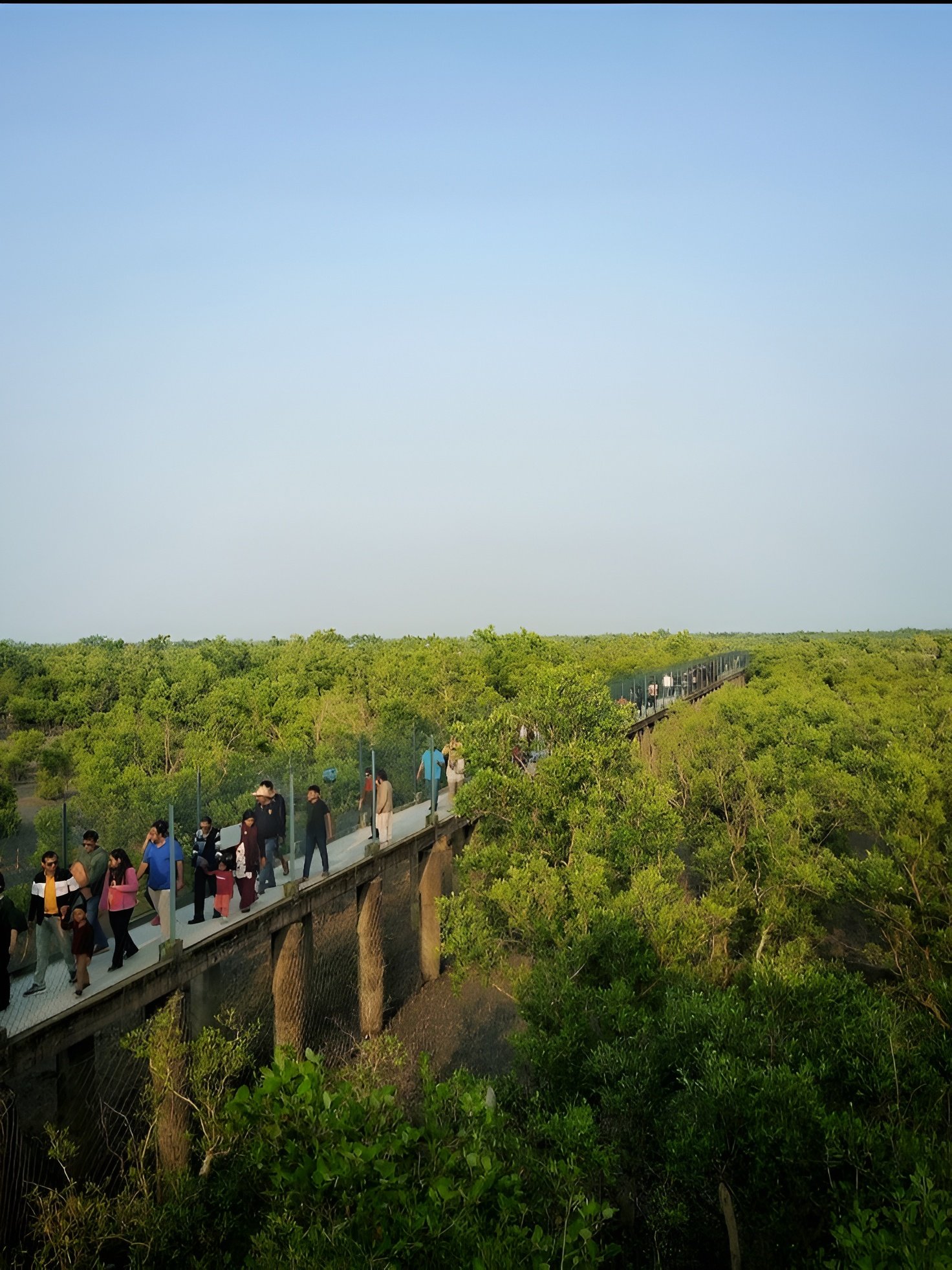 Sundarban National Park, Calcutta, West Bengal, India