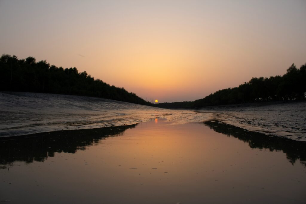 Sundarban National Park, Calcutta, West Bengal, India