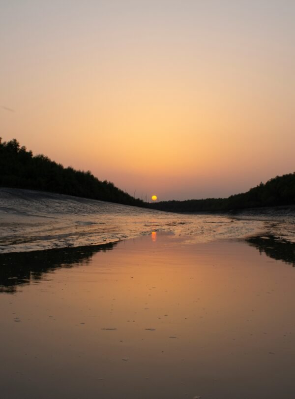 Sundarban National Park, Calcutta, West Bengal, India