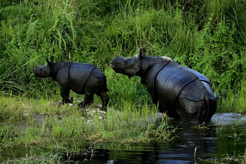 Dooars Women-Only Group Tour 3 Nights 4 Days