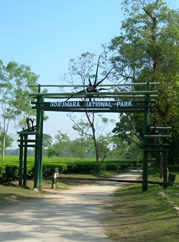 Dooars Women-Only Group Tour 3 Nights 4 Days