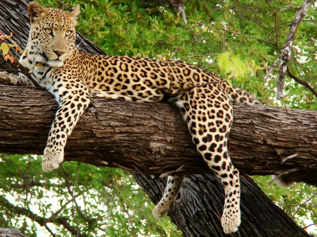 Dooars Women-Only Group Tour 3 Nights 4 Days