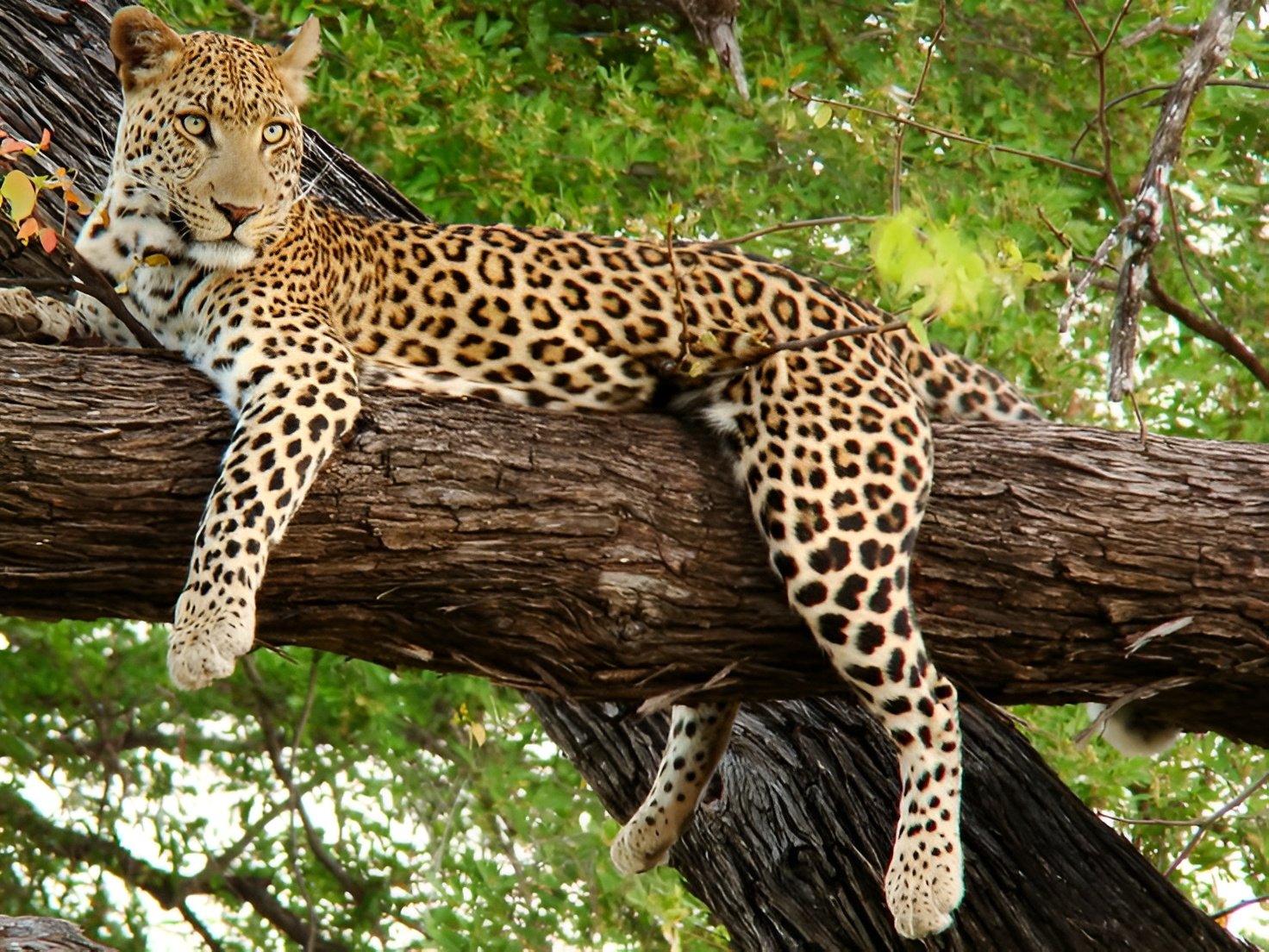 Dooars Women-Only Group Tour 3 Nights 4 Days
