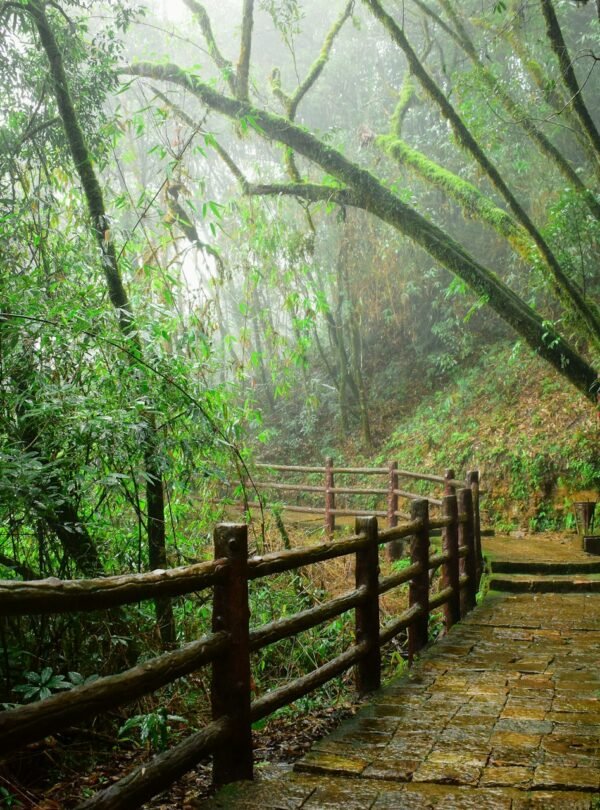 Meghalaya Women-Only Group Tour 4 Nights 5 Days