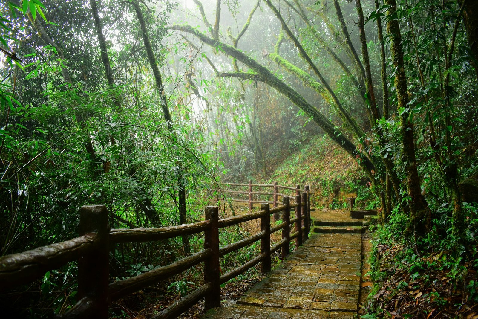 Meghalaya Women-Only Group Tour 4 Nights 5 Days