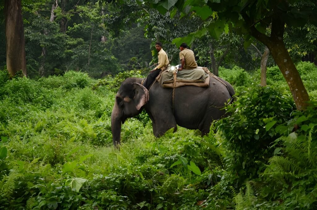 Dooars Women-Only Group Tour 3 Nights 4 Days