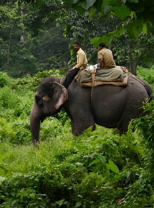 Dooars Women-Only Group Tour 3 Nights 4 Days