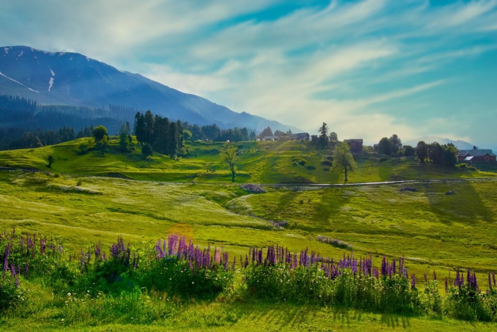 Kashmir with Doodhpathri Tour Package 6 Nights 7 Days