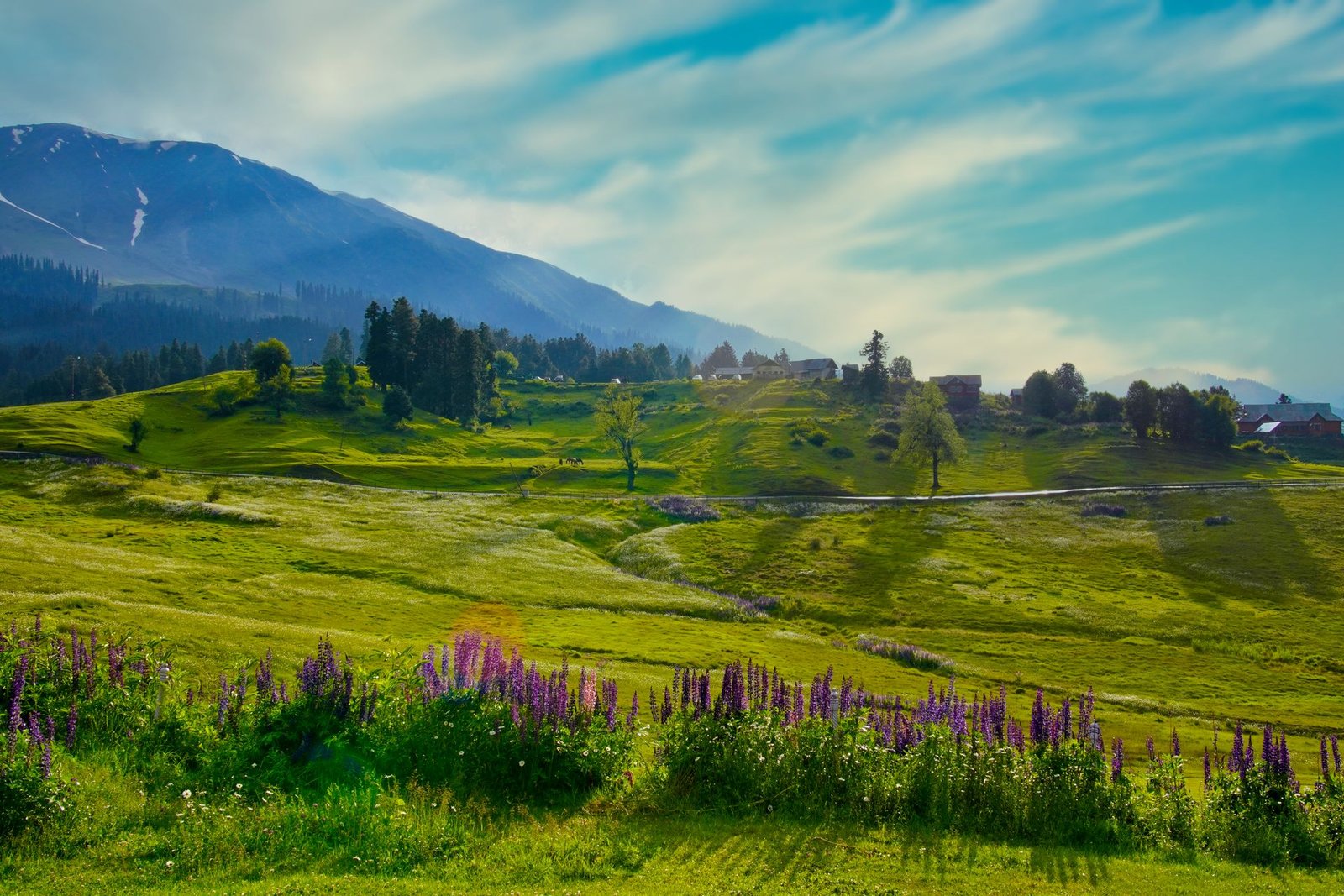Kashmir with Doodhpathri Tour Package 6 Nights 7 Days