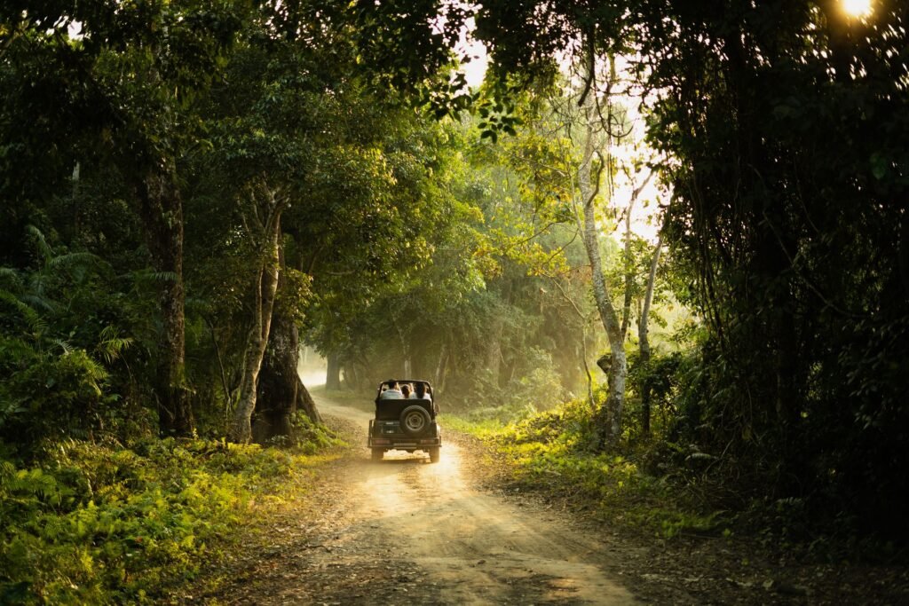 Dooars Women-Only Group Tour 3 Nights 4 Days