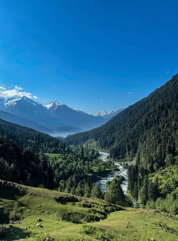 Kashmir with Doodhpathri Tour Package 6 Nights 7 Days