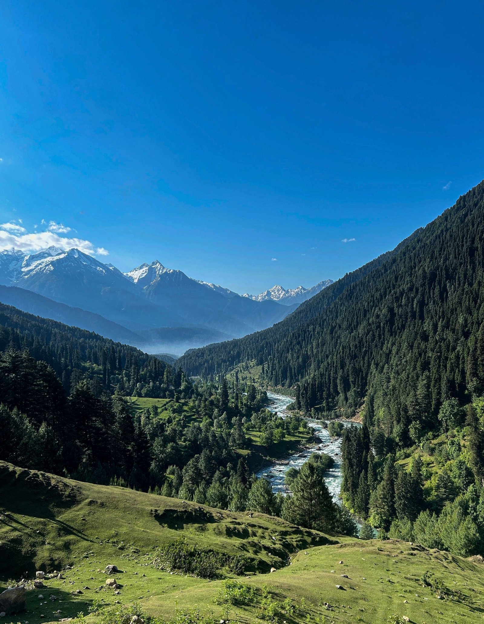 Kashmir with Doodhpathri Tour Package 6 Nights 7 Days